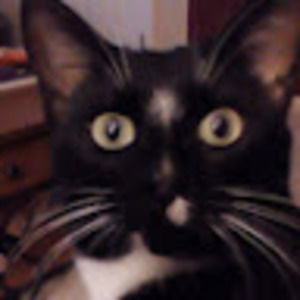 Meet your Posher, Roger